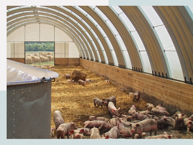 Строительство свинарников в Уфе