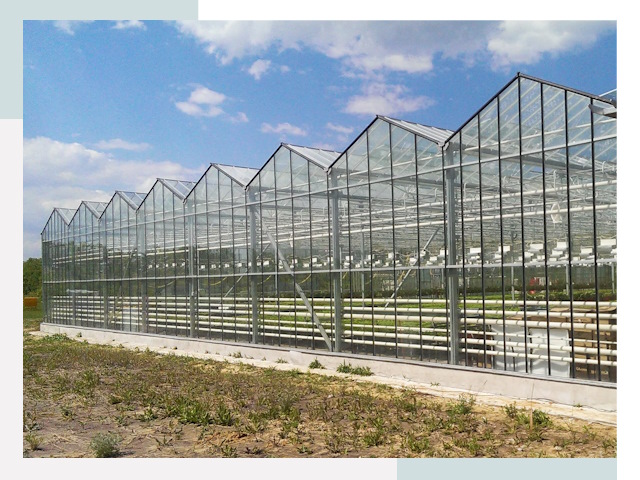 Строительство теплиц в Уфа от 617 руб. за м²